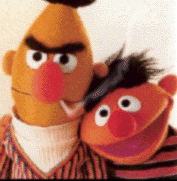 BERT & ERNIE!!!